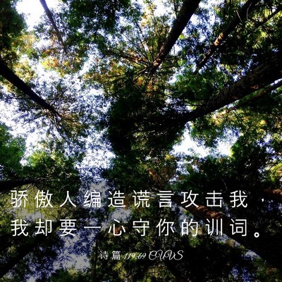 Picture 03 - 诗 篇 119:69 CUVS - 骄 傲 人 编 造 谎 言 攻 击 我 ， 我 - Bible Verse Picture
