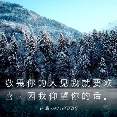 Picture 03 - 诗 篇 119:74 CUVS - 敬 畏 你 的 人 见 我 就 要 欢 喜 ， - Bible Verse Picture