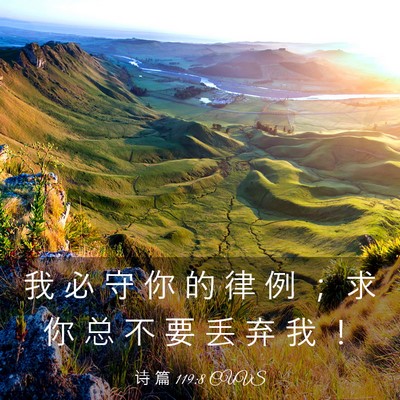 Picture 03 - 诗 篇 119:8 CUVS - 我 必 守 你 的 律 例 ； 求 你 总 不 - Bible Verse Picture
