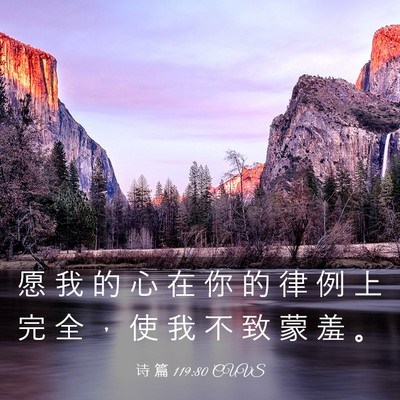 Picture 03 - 诗 篇 119:80 CUVS - 愿 我 的 心 在 你 的 律 例 上 完 全 - Bible Verse Picture