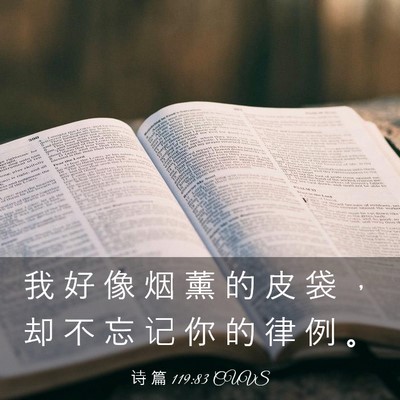 Picture 03 - 诗 篇 119:83 CUVS - 我 好 像 烟 薰 的 皮 袋 ， 却 不 忘 - Bible Verse Picture