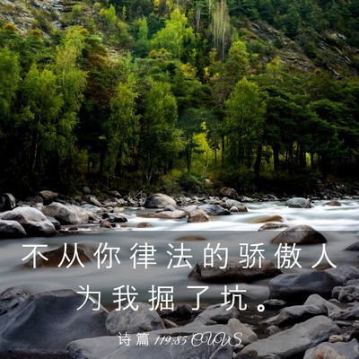 Picture 03 - 诗 篇 119:85 CUVS - 不 从 你 律 法 的 骄 傲 人 为 我 掘 - Bible Verse Picture