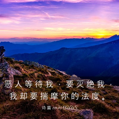 Picture 03 - 诗 篇 119:95 CUVS - 恶 人 等 待 我 ， 要 灭 绝 我 ， 我 - Bible Verse Picture