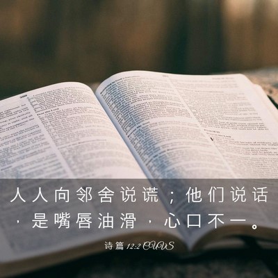 Picture 03 - 诗 篇 12:2 CUVS - 人 人 向 邻 舍 说 谎 ； 他 们 说 话 - Bible Verse Picture