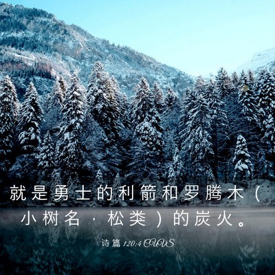 Picture 03 - 诗 篇 120:4 CUVS - 就 是 勇 士 的 利 箭 和 罗 腾 木 （ - Bible Verse Picture