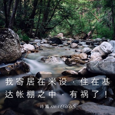 Picture 03 - 诗 篇 120:5 CUVS - 我 寄 居 在 米 设 ， 住 在 基 达 帐 - Bible Verse Picture
