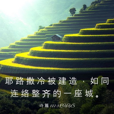 Picture 03 - 诗 篇 122:3 CUVS - 耶 路 撒 冷 被 建 造 ， 如 同 连 络 - Bible Verse Picture