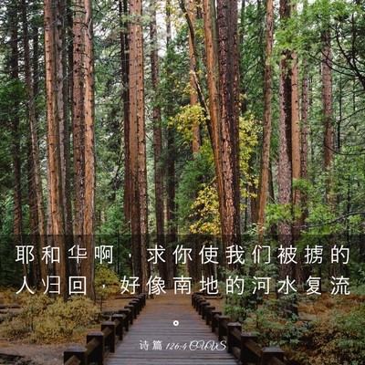 Picture 03 - 诗 篇 126:4 CUVS - 耶 和 华 啊 ， 求 你 使 我 们 被 掳 - Bible Verse Picture