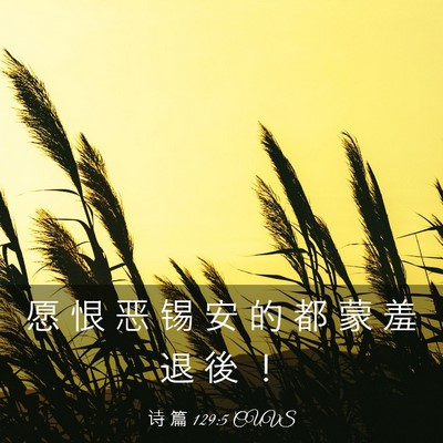 Picture 03 - 诗 篇 129:5 CUVS - 愿 恨 恶 锡 安 的 都 蒙 羞 退 後 - Bible Verse Picture