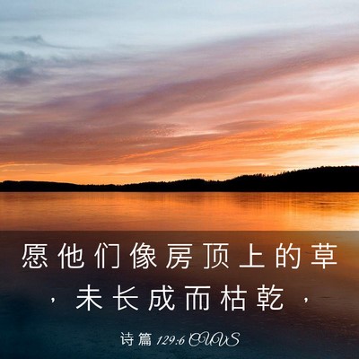 Picture 03 - 诗 篇 129:6 CUVS - 愿 他 们 像 房 顶 上 的 草 ， 未 长 - Bible Verse Picture
