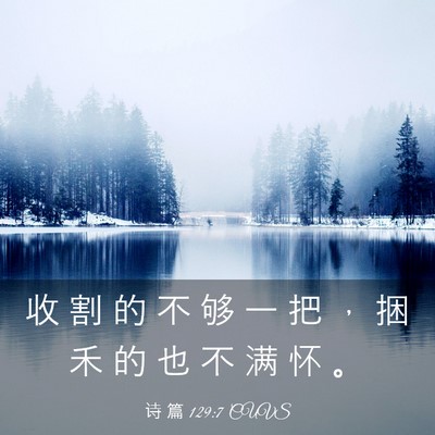 Picture 03 - 诗 篇 129:7 CUVS - 收 割 的 不 够 一 把 ， 捆 禾 的 也 - Bible Verse Picture