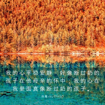 Picture 03 - 诗 篇 131:2 CUVS - 我 的 心 平 稳 安 静 ， 好 像 断 过 - Bible Verse Picture