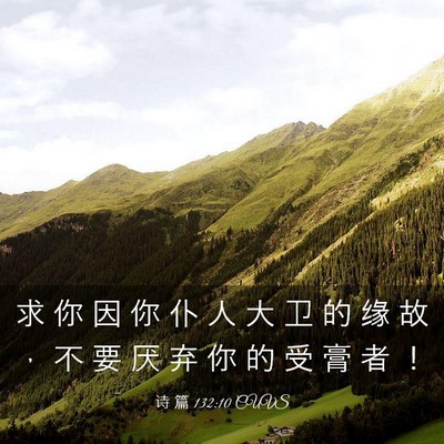 Picture 03 - 诗 篇 132:10 CUVS - 求 你 因 你 仆 人 大 卫 的 缘 故 ， - Bible Verse Picture
