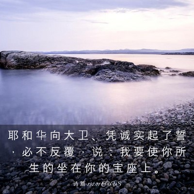 Picture 03 - 诗 篇 132:11 CUVS - 耶 和 华 向 大 卫 、 凭 诚 实 起 了 - Bible Verse Picture