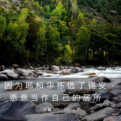 Picture 03 - 诗 篇 132:13 CUVS - 因 为 耶 和 华 拣 选 了 锡 安 ， 愿 - Bible Verse Picture