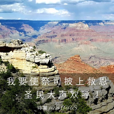 Picture 03 - 诗 篇 132:16 CUVS - 我 要 使 祭 司 披 上 救 恩 ， 圣 民 - Bible Verse Picture