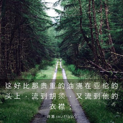Picture 03 - 诗 篇 133:2 CUVS - 这 好 比 那 贵 重 的 油 浇 在 亚 伦 - Bible Verse Picture