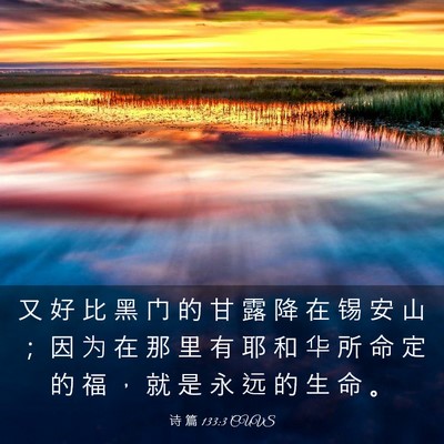 Picture 03 - 诗 篇 133:3 CUVS - 又 好 比 黑 门 的 甘 露 降 在 锡 安 - Bible Verse Picture