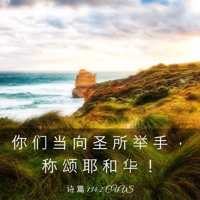 Picture 03 - 诗 篇 134:2 CUVS - 你 们 当 向 圣 所 举 手 ， 称 颂 耶 - Bible Verse Picture