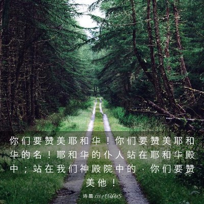 Picture 03 - 诗 篇 135:1 CUVS - 你 们 要 赞 美 耶 和 华 ！ 你 们 要 - Bible Verse Picture