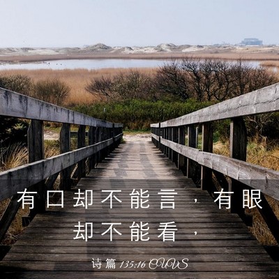Picture 03 - 诗 篇 135:16 CUVS - 有 口 却 不 能 言 ， 有 眼 却 不 能 - Bible Verse Picture