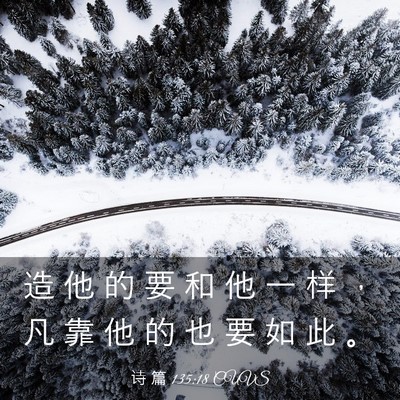 Picture 03 - 诗 篇 135:18 CUVS - 造 他 的 要 和 他 一 样 ， 凡 靠 他 - Bible Verse Picture