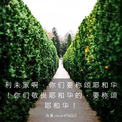 Picture 03 - 诗 篇 135:20 CUVS - 利 未 家 啊 ， 你 们 要 称 颂 耶 和 - Bible Verse Picture
