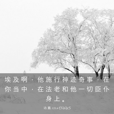 Picture 03 - 诗 篇 135:9 CUVS - 埃 及 啊 ， 他 施 行 神 迹 奇 事 ， - Bible Verse Picture