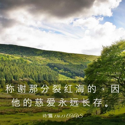 Picture 03 - 诗 篇 136:13 CUVS - 称 谢 那 分 裂 红 海 的 ， 因 他 的 - Bible Verse Picture