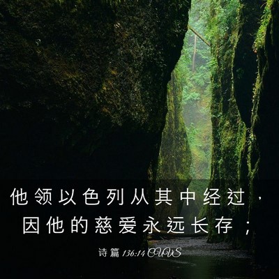 Picture 03 - 诗 篇 136:14 CUVS - 他 领 以 色 列 从 其 中 经 过 ， 因 - Bible Verse Picture