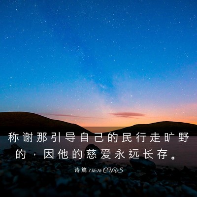 Picture 03 - 诗 篇 136:16 CUVS - 称 谢 那 引 导 自 己 的 民 行 走 旷 - Bible Verse Picture
