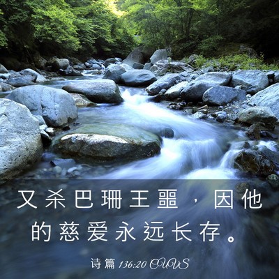 Picture 03 - 诗 篇 136:20 CUVS - 又 杀 巴 珊 王 噩 ， 因 他 的 慈 爱 - Bible Verse Picture