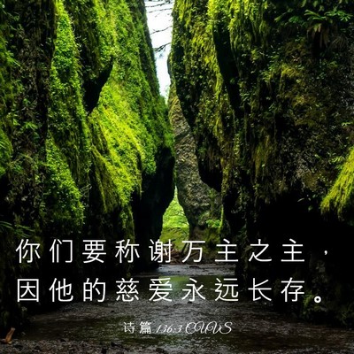 Picture 03 - 诗 篇 136:3 CUVS - 你 们 要 称 谢 万 主 之 主 ， 因 他 - Bible Verse Picture