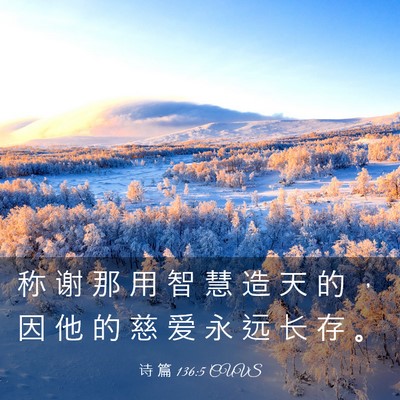 Picture 03 - 诗 篇 136:5 CUVS - 称 谢 那 用 智 慧 造 天 的 ， 因 他 - Bible Verse Picture