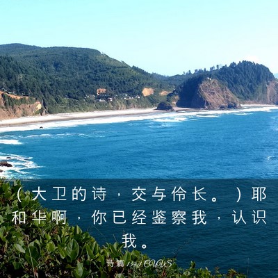 Picture 03 - 诗 篇 139:1 CUVS - （ 大 卫 的 诗 ， 交 与 伶 长 。 ） - Bible Verse Picture