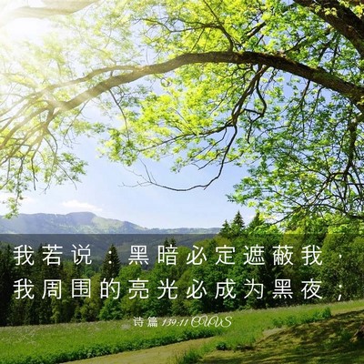 Picture 03 - 诗 篇 139:11 CUVS - 我 若 说 ： 黑 暗 必 定 遮 蔽 我 ， - Bible Verse Picture