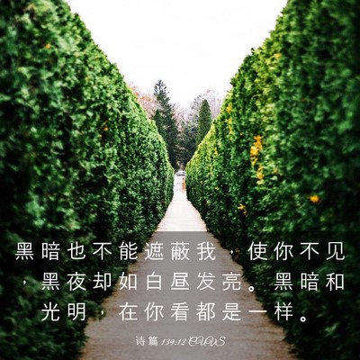 Picture 03 - 诗 篇 139:12 CUVS - 黑 暗 也 不 能 遮 蔽 我 ， 使 你 不 - Bible Verse Picture