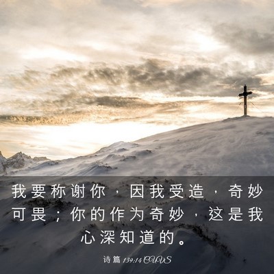 Picture 03 - 诗 篇 139:14 CUVS - 我 要 称 谢 你 ， 因 我 受 造 ， 奇 - Bible Verse Picture