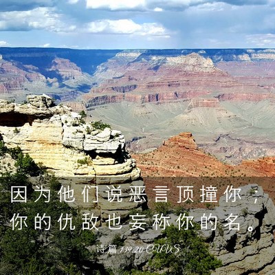 Picture 03 - 诗 篇 139:20 CUVS - 因 为 他 们 说 恶 言 顶 撞 你 ； 你 - Bible Verse Picture