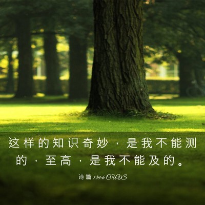 Picture 03 - 诗 篇 139:6 CUVS - 这 样 的 知 识 奇 妙 ， 是 我 不 能 - Bible Verse Picture