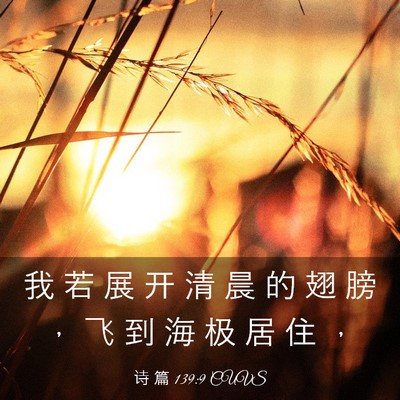 Picture 03 - 诗 篇 139:9 CUVS - 我 若 展 开 清 晨 的 翅 膀 ， 飞 到 - Bible Verse Picture