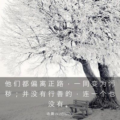 Picture 03 - 诗 篇 14:3 CUVS - 他 们 都 偏 离 正 路 ， 一 同 变 为 - Bible Verse Picture