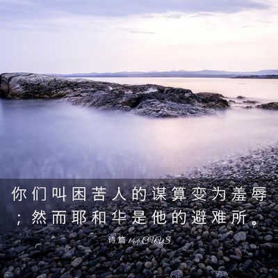 Picture 03 - 诗 篇 14:6 CUVS - 你 们 叫 困 苦 人 的 谋 算 变 为 羞 - Bible Verse Picture