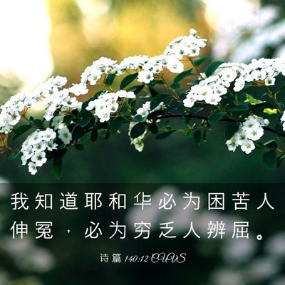 Picture 03 - 诗 篇 140:12 CUVS - 我 知 道 耶 和 华 必 为 困 苦 人 伸 - Bible Verse Picture