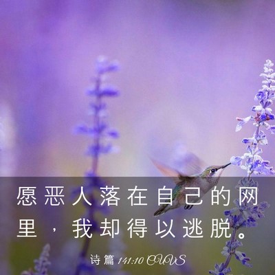 Picture 03 - 诗 篇 141:10 CUVS - 愿 恶 人 落 在 自 己 的 网 里 ， 我 - Bible Verse Picture