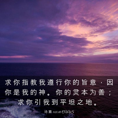 Picture 03 - 诗 篇 143:10 CUVS - 求 你 指 教 我 遵 行 你 的 旨 意 ， - Bible Verse Picture