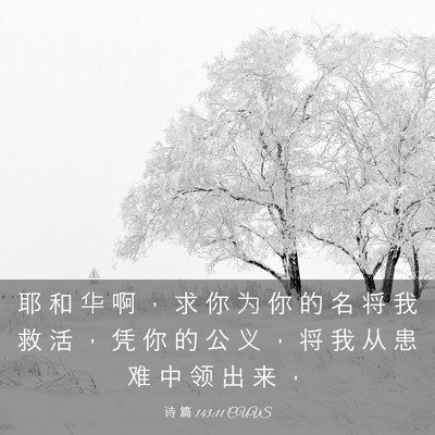 Picture 03 - 诗 篇 143:11 CUVS - 耶 和 华 啊 ， 求 你 为 你 的 名 将 - Bible Verse Picture