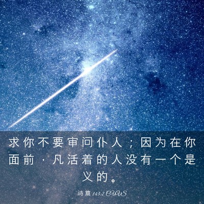 Picture 03 - 诗 篇 143:2 CUVS - 求 你 不 要 审 问 仆 人 ； 因 为 在 - Bible Verse Picture