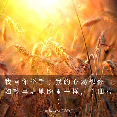 Picture 03 - 诗 篇 143:6 CUVS - 我 向 你 举 手 ； 我 的 心 渴 想 你 - Bible Verse Picture