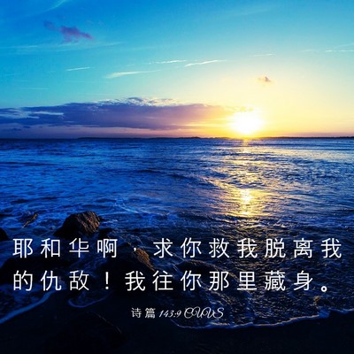 Picture 03 - 诗 篇 143:9 CUVS - 耶 和 华 啊 ， 求 你 救 我 脱 离 我 - Bible Verse Picture